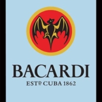 Bacardi Rum Barspiegel Bar Spiegel Wandspiegel Bedruckter Spiegel mit Fledermaus Motiv in Holzoptik 20×30 cm