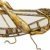 Grashüpfer Spiegel Design Goldener Wandschmuck Grasshopper Mirror, Deko in Gold, verspiegelter Wandschmuck, edles Design Objekt