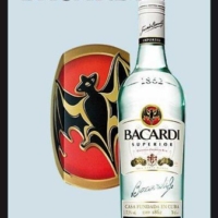 Bacardi Rum – Bottle – Bedruckter Bar Spiegel NEU Barspiegel Wandspiegel mit Rahmen in Holzoptik Kult-Spiegel 20×30 cm