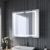 Moderner LED Spiegelschrank mit Beleuchtung 70x65 cm Edelstahl Badezimmer Bad Spiegel Steckdose Spiegelschrank Kippschalter Design